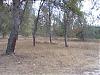     
:  IMG_1021.jpg
: 541
:	145.0 
ID:	2926