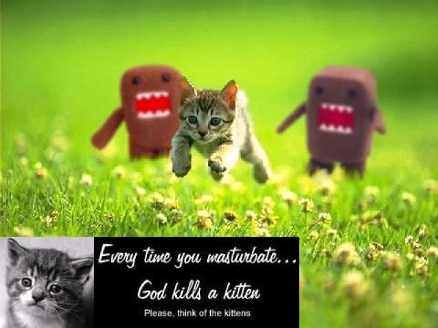 :  psakitty.jpg
: 1140

:  42.6 