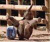     
:  image007.jpg
: 326
:	140.5 
ID:	3368