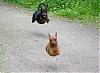     
:  image009.jpg
: 314
:	90.5 
ID:	3369