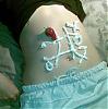     
:  16042008.jpg
: 2098
:	122.6 
ID:	3814