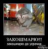     
:  1232106894_1231617131_etalrh94kmiw.jpg
: 342
:	23.1 
ID:	4078