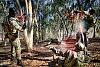     
:  _MG_8283-Edit-2.jpg
: 260
:	245.9 
ID:	6214